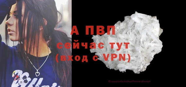 СК Алексин