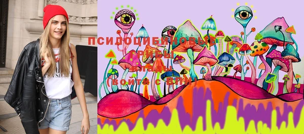 первитин Алексеевка