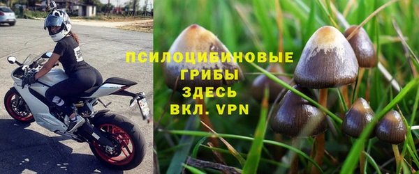 первитин Алексеевка