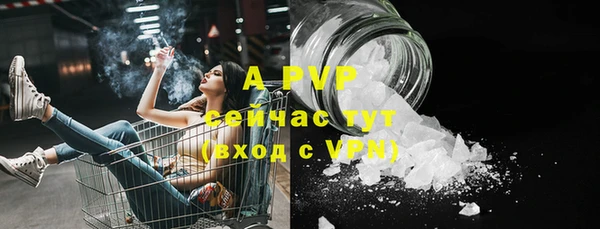СК Алексин